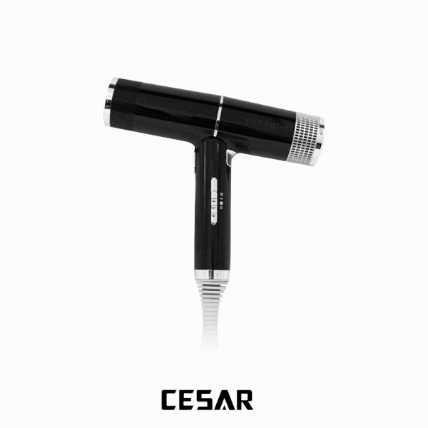 Brosse Lissante CESAR™ Silver Pro – Cheveux lisses & soyeux en quelques minutes – Image 2