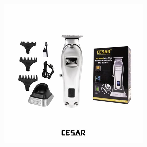Brosse Chauffante CESAR™ MenStyle – Domptez votre barbe & vos cheveux en un seul geste